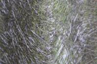 Westcott Barton fibreglass roof work